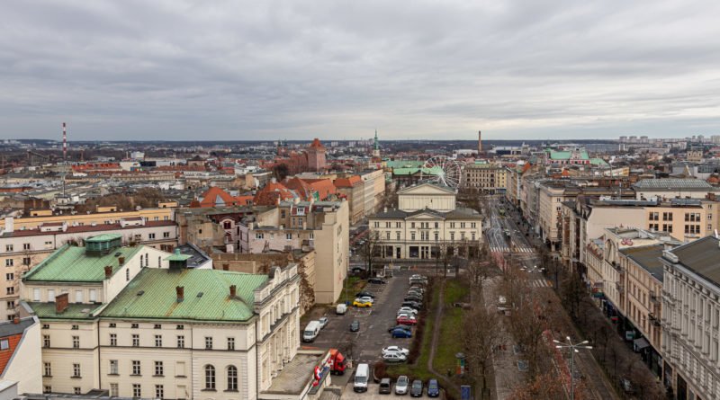 Poznań: Architektka krajobrazu walczy przeciwko wycince drzew w centrum. Prezydent twierdzi, że jest współautorką projektu