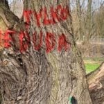 Poznań: W parku Wodziczki znów jest kałuża. I drzewa z napisami