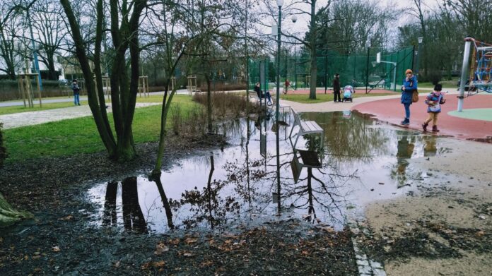 park Wodziczki kałuża 1
