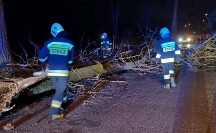 powalone drzewo fot. OSP Czempiń