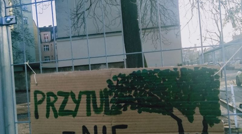 Poznań: Pożegnanie drzewa na Jeżycach