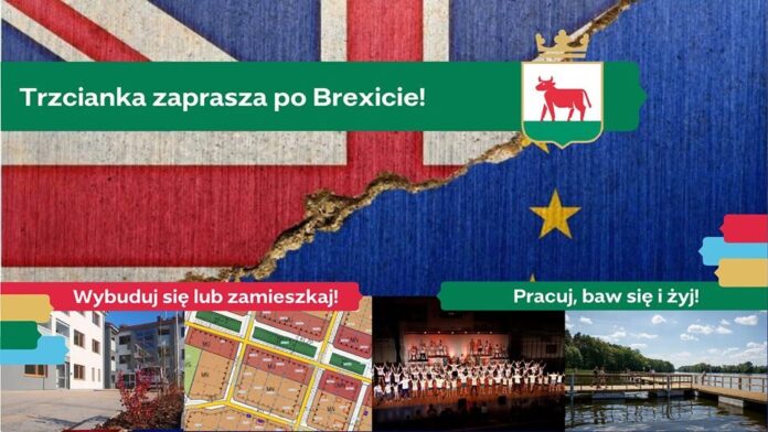 Trzcianka fot. Trzcianka