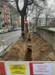 Poznań: Drzewa na Świętego Jerzego zniszczone! Bo trzeba było wymienić... kabel