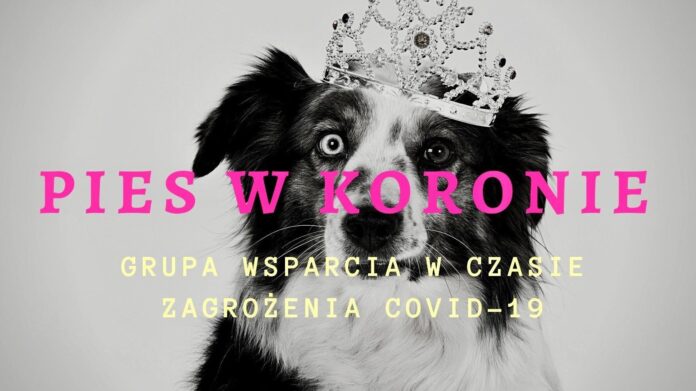Pies w koronie fot. FB