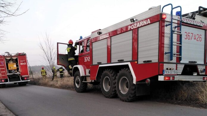 pożar 2 fot. OSP Golina
