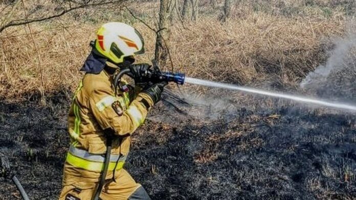 pożar archiwum fot. OSP Golina