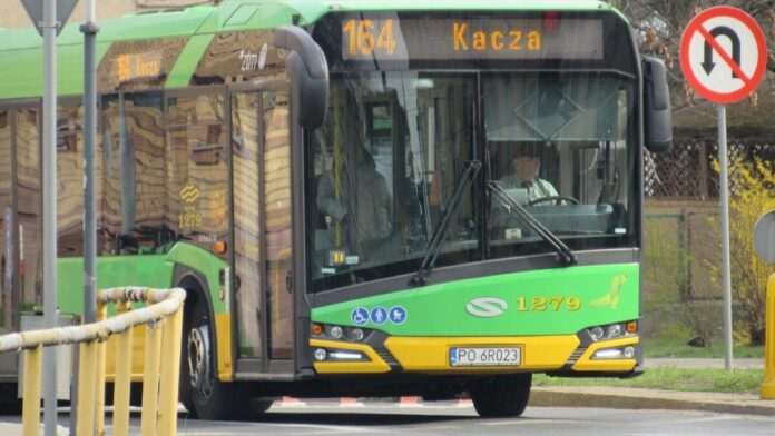 Autobus 164 fot. ZDM