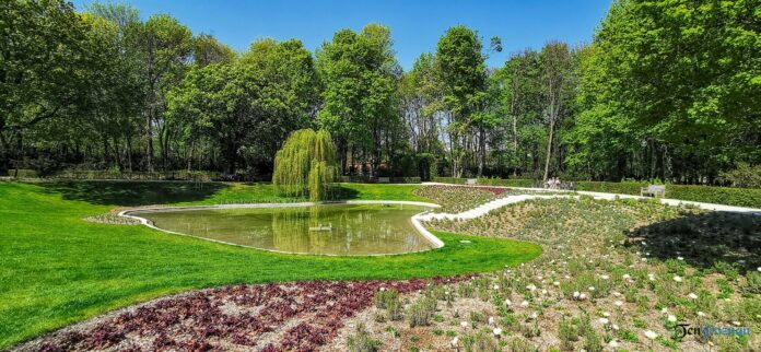 Park Cytadela fontanna w ogrodzie kwiatowym Mewy fot. Sławek Wąchała
