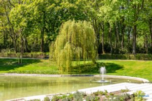 Park Cytadela fontanna w ogrodzie kwiatowym Mewy fot. Sławek Wąchała