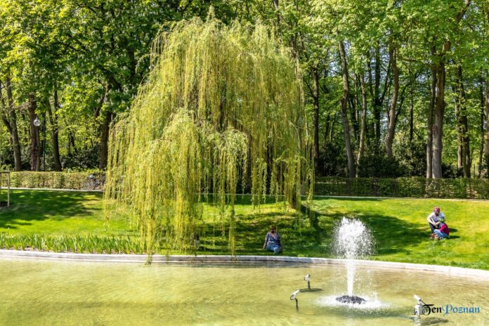 Park Cytadela fontanna w ogrodzie kwiatowym Mewy fot. Sławek Wąchała