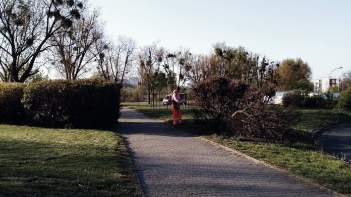 koszenie trawników