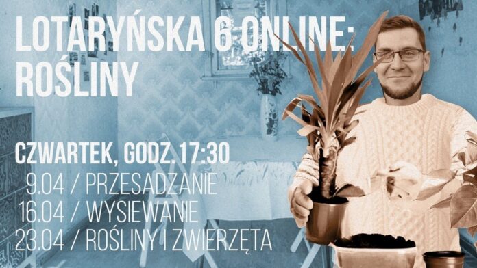 Lotaryńska 6 fot. Mikro Dom Kultury