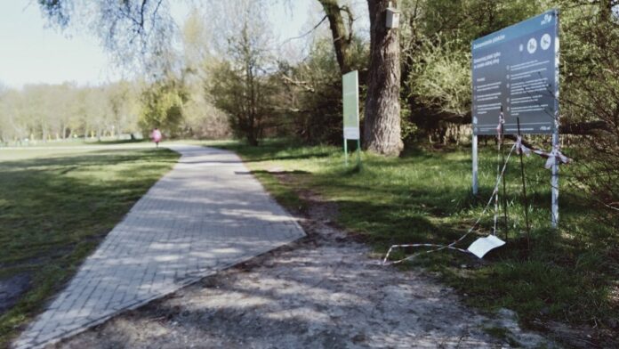 Las nad Rusalką