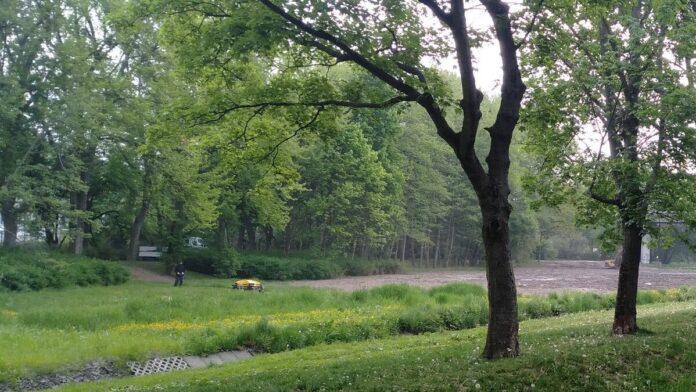 koszenie nad Bogdanką 3