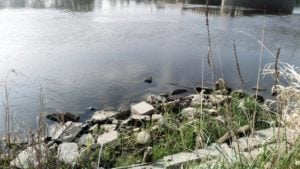 Poznań: Ostrzeżenie o suszy hydrologicznej dla Warty