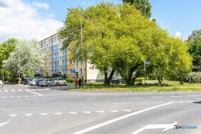 Kurlandzka wiadukt os. Czecha zieleń fot. Sławek Wąchała