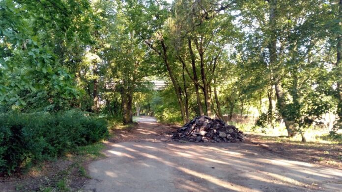 aleja park Wodziczki