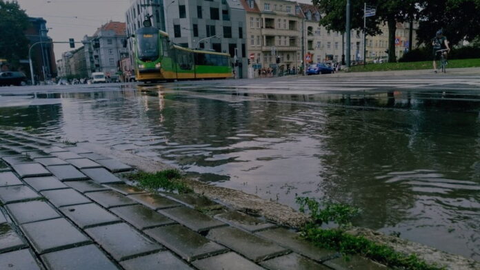burza Górna Wilda