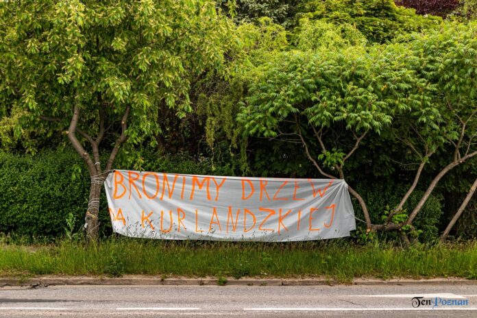 Kurlandzka - Stop wycince drzew baner fot. Sławek Wąchała