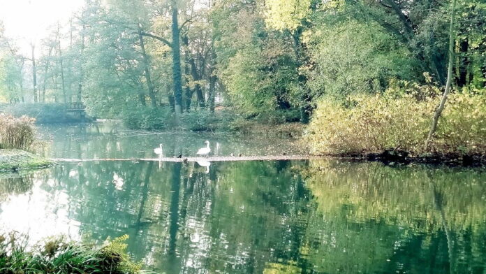 park Sołacki stawy