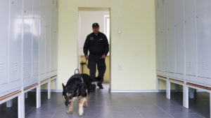 Wronki: Psi strażnicy w zakładzie karnym