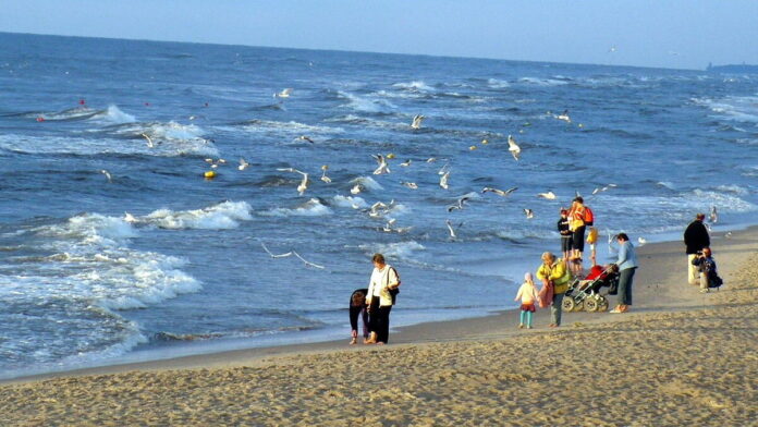 plaża, wakacje
