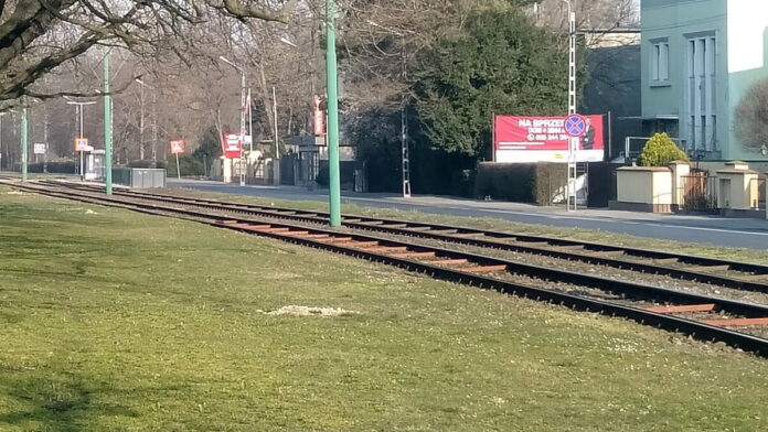 Sołacz al. Wielkopolska