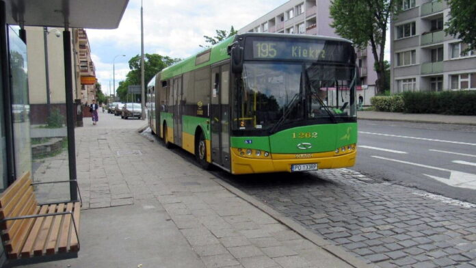autobus nr 195 fot. ZTM