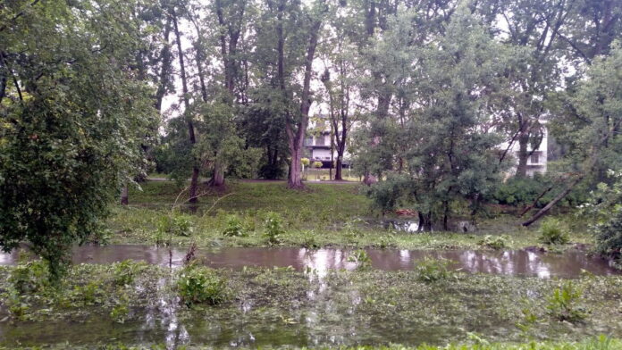 Bogdanka wylała
