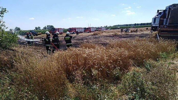 pożar zboża fot. OSP Pogorzela