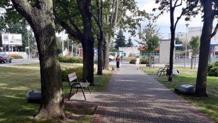 zniszczone kosze fot. ZZM