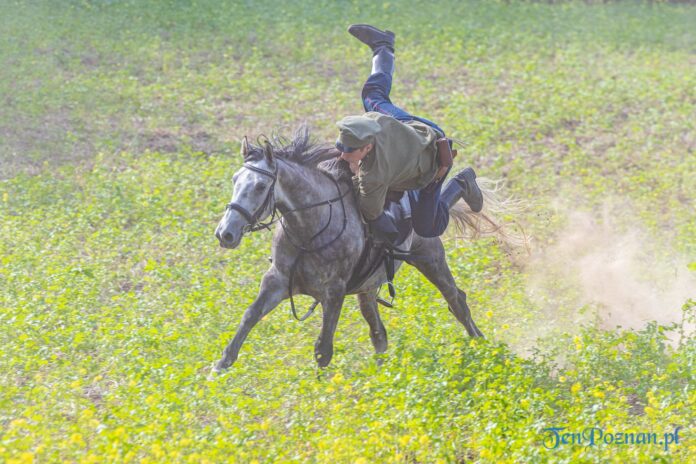 Obóz ćwiczebny Wojsk Wielkopolskich - historie z września 1920 roku fot. Sławek Wąchała