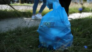 Poznań: Osiedle Wichrowe Wzgórze posprzątało okolicę