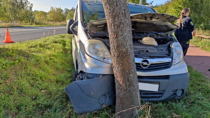 wypadek fot. straż gminna Czerwonak