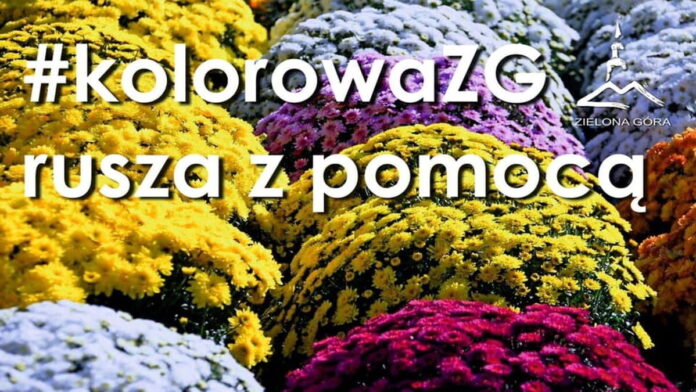 kolorowaZG fot. UM Zielona Góra