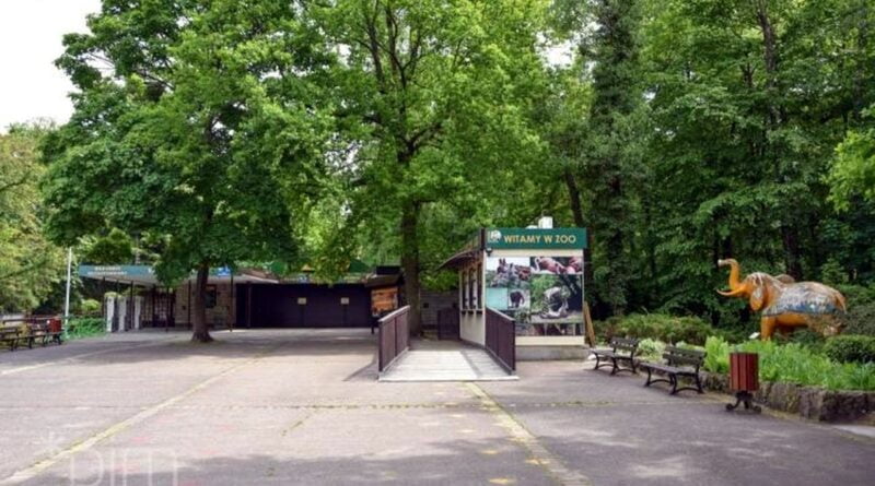 Zoo Poznań fot. PIM
