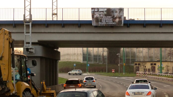 Baner na Hlonda fot. fundacja Viva