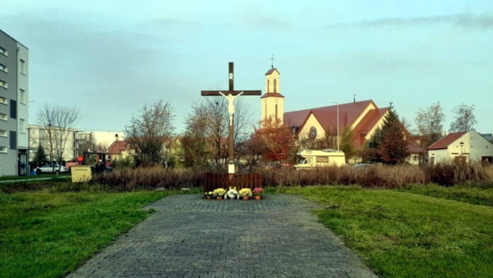 drzewa Strzeszyn fot. ZZM
