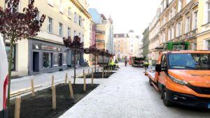 Poznań: Na Kwiatowej sadzą drzewa!