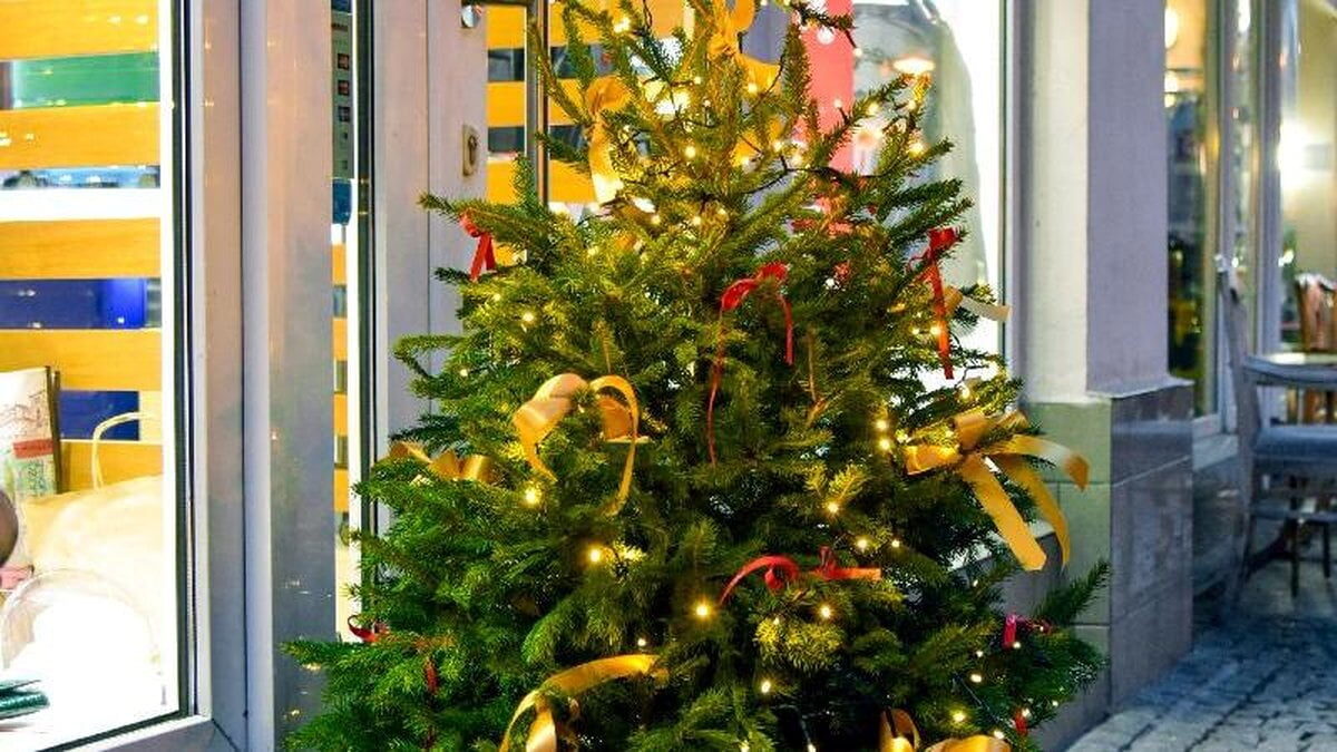 Poznań: Choinki na ulicach miasta