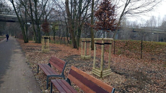 park Wodziczki fot. ZZM