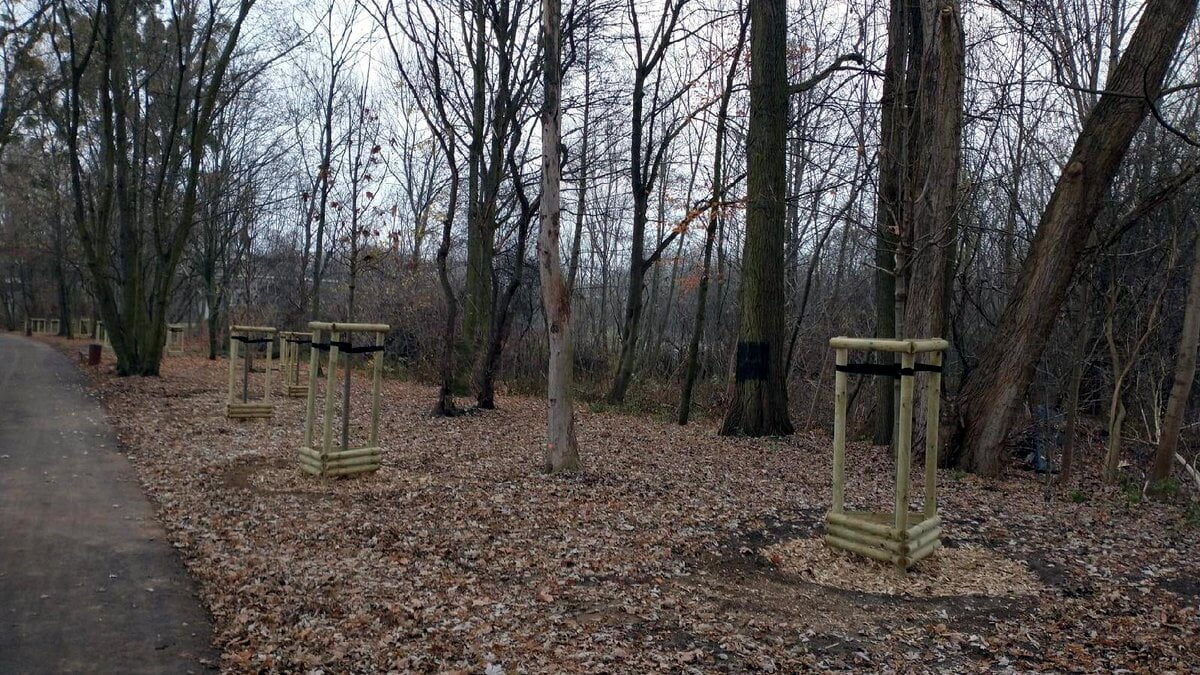 park Wodziczki fot. ZZM