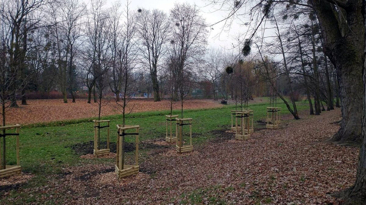 park Wodziczki fot. ZZM