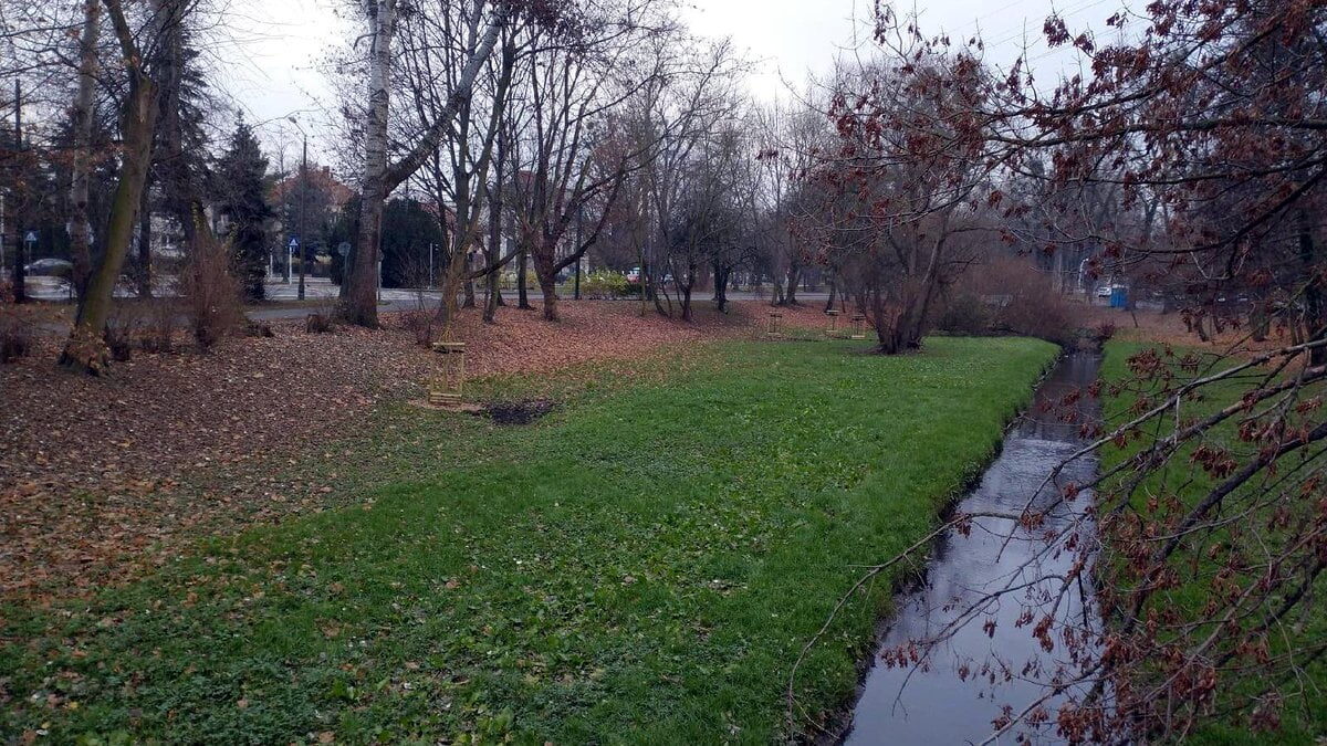 park Wodziczki fot. ZZM
