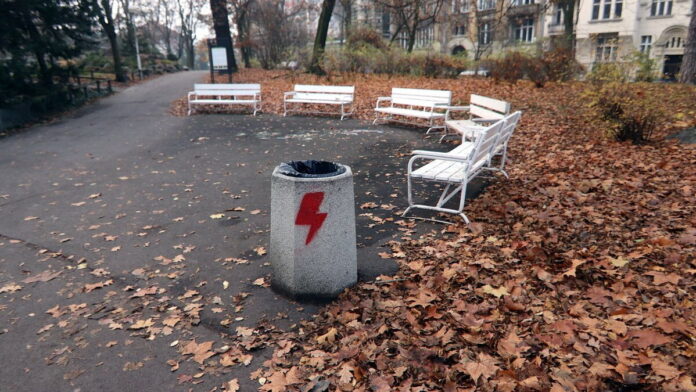 zniszczone kosze fot. Palmiarnia Poznańska