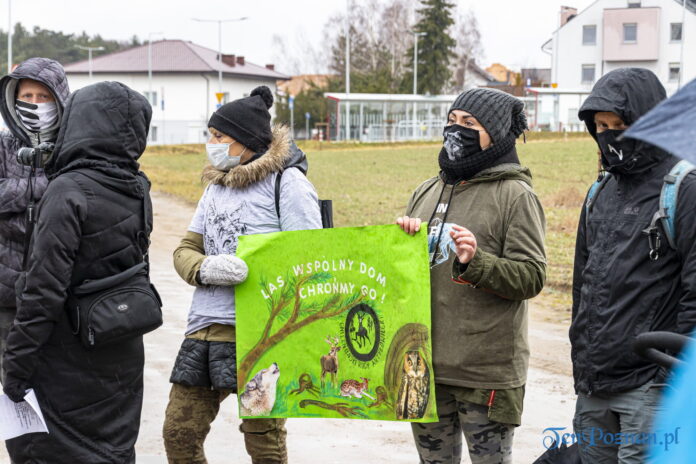 Łączy nas wspólny LAS. Spacer protestacyjny - w obronie lasów! fot. Sławek Wąchała
