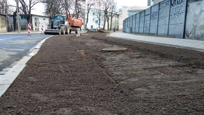 Składowa, nasadzenia zieleni fot. ZDM