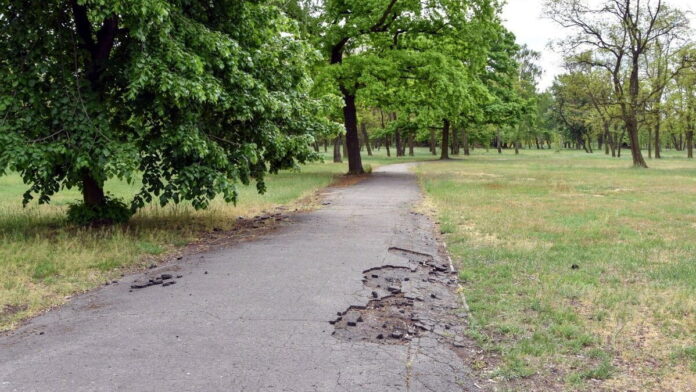 park Tysiąclecia fot. PIM