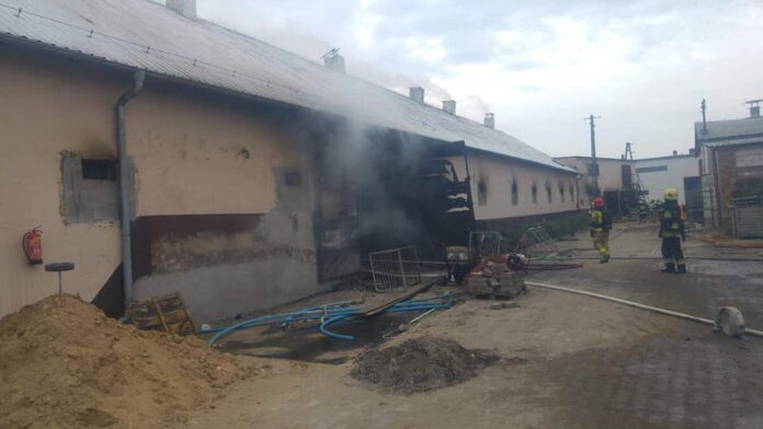 pożar w Perzynach fot. OSP Zbąszyń