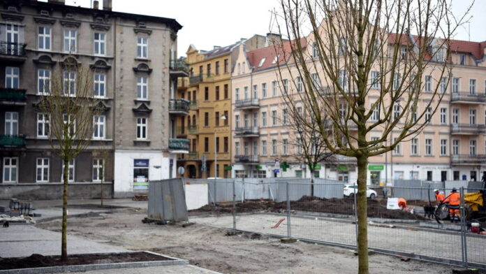 Rynek Łazarski, pierwsze drzewa fot. UMP